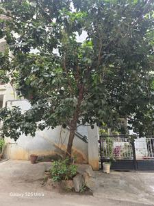 Block 2 Plot View 1