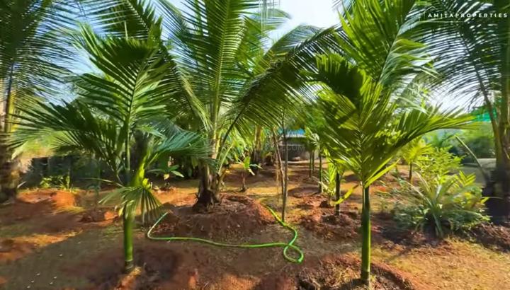 Sarambal, Kudal Main Image 1