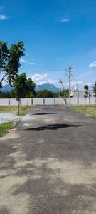 Residential Plot