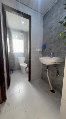 Bathroom Image of 585 Sq.ft 1 BHK Apartment / Flat for rent in Amrapali Dream Valley 2, Noida Extension Greater Noida for Rs. 16000