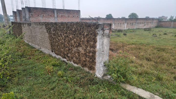 Rksinha Main Image 1