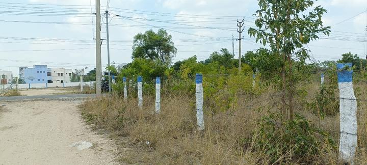Kalapatti Main Image 1