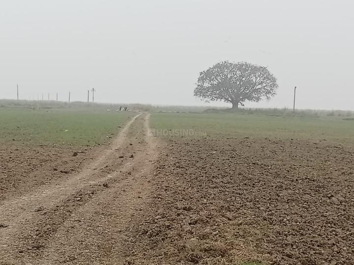Bihta Main Image 1
