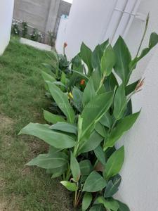 Image of 1581 Sq.ft 3 BHK Villa for sale in Casagrand Arena, Oragadam Sriperambattur, Chennai for Rs. 8500000
