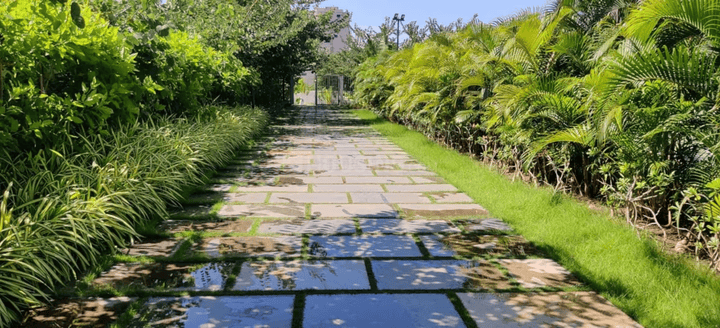 Gem Grove Main Image 1