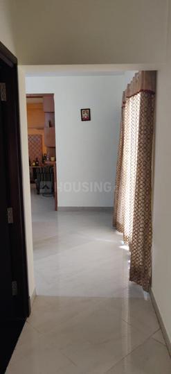 Shoba iris Main Image 1