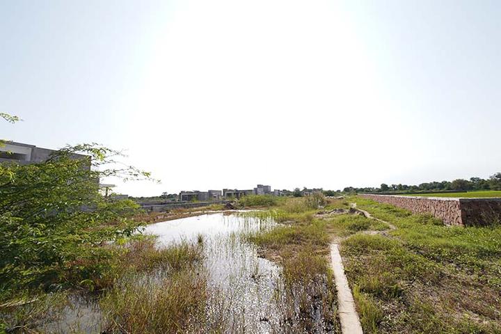 Rose Ville Main Image 1