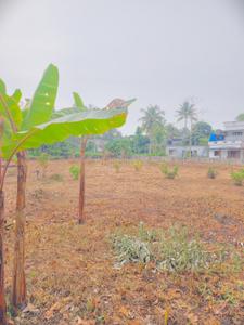 Image of 16552 Sq.ft Residential Plot / Land for sale in Thalayolaparambu, Kottayam for Rs. 14250000