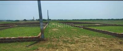 Patrapada Plot View 1