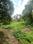 Angamaly Main Image 1