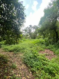 Angamaly Plot View 1