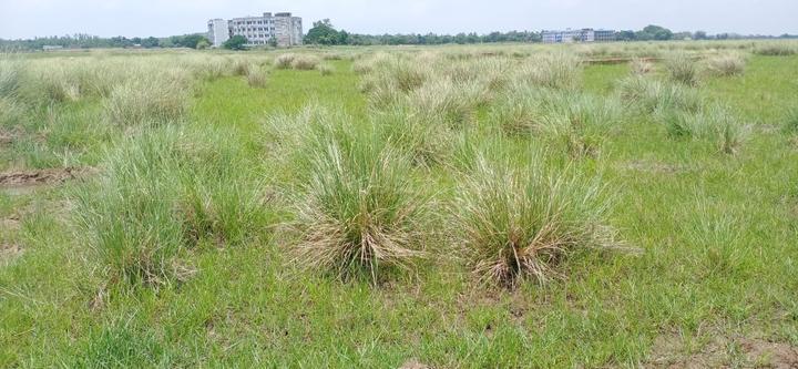 Oryan properties pvt Ltd Main Image 1