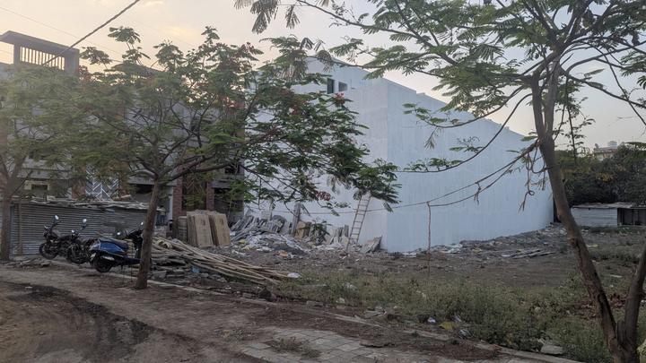 Parul Palm Green Main Image 1