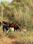 Foresta Farms and Resorts Main Image 1