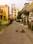2648 Main Image 1