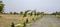 Royal Rajwada Main Image 1