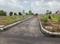 Chikkajala Main Image 1