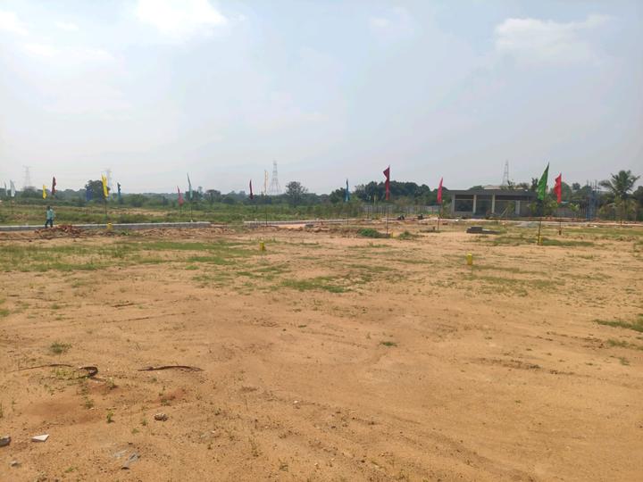 K C Green  Meadows Main Image 1