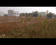 Uberiya Plot View 2