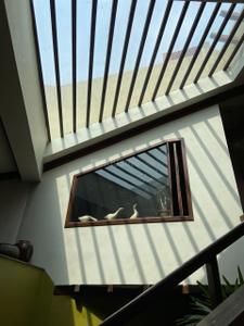 Balcony Image of 5500 Sq.ft 6 BHK Villa for sale in Victorian Meadows, Munnekollal Bengaluru for Rs. 150000000