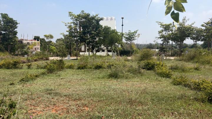 Choranahalli Main Image 1