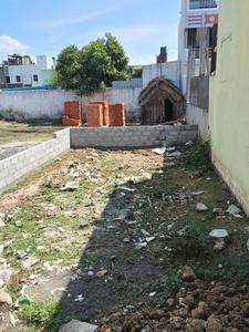 Residential Plot