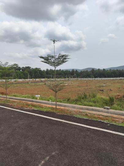SHYAM AVENUE Main Image 1
