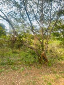 Image of 1200 Sq.ft Residential Plot / Land for sale in Vajarahalli, Bengaluru for Rs. 18000000