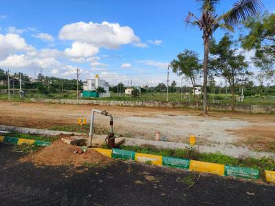Agricultural Land
