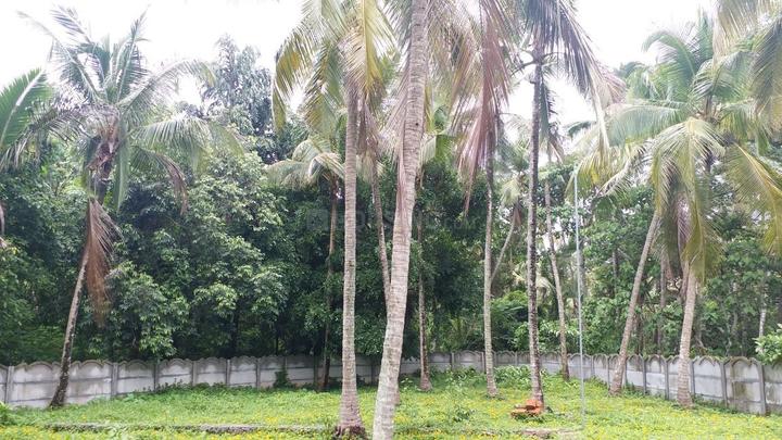 Amalanagar Main Image 1