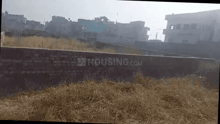 Singh More Main Image 1