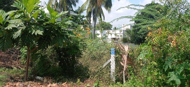 New Thillai Nagar, PN Pudur Main Image 1