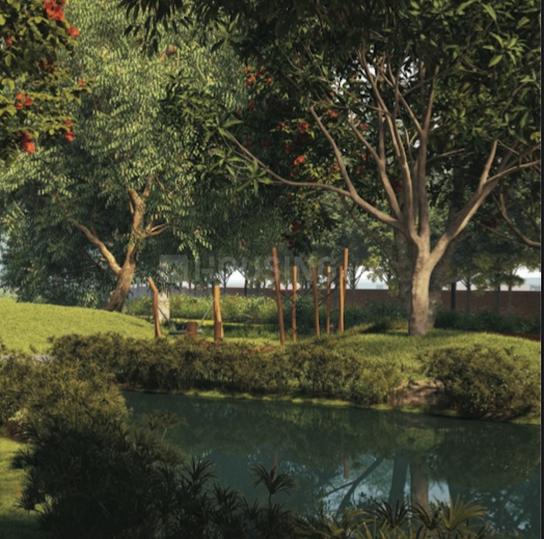 Tangled Up In Green Main Image 1