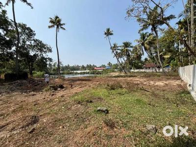 Chittur Plot View 1