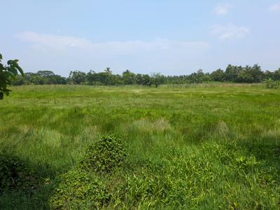 Residential Plot