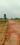 Naini Main Image 1