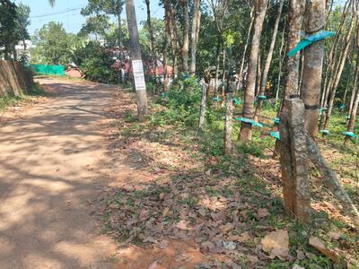 Image of 46173 Sq.ft Residential Plot / Land for sale in Adoor, Pathanamthitta for Rs. 15900000