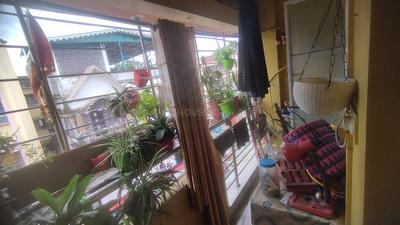 Balcony Image of 1030 Sq.ft 3 BHK Apartment / Flat for sale in Subhas Pally Siliguri for Rs. 5000000