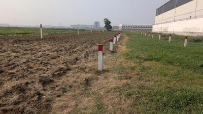 Image of 1216 Sq.ft Residential Plot / Land for sale in Kothiya, Patna for Rs. 6500000