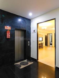 Hall Image of 1300 Sq.ft 2.5 BHK Apartment / Flat for rent in Vasant Kunj New Delhi for Rs. 65000