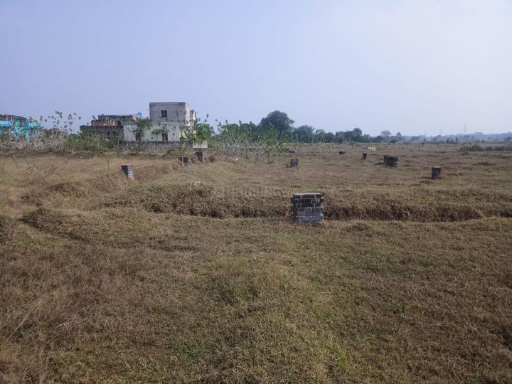 Societie Main Image 1