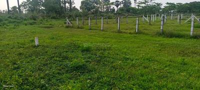 Image of 2555 Sq.ft Residential Plot / Land for sale in Rajanagram, Rajahmundry for Rs. 5600000