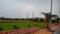 Ras Garden Main Image 1