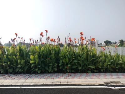 Image of 1152 Sq.ft Residential Plot / Land for sale in New Stone Coral Park, Sector 84, Faridabad for Rs. 17950000
