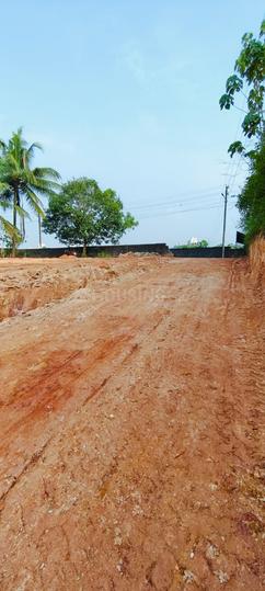 Kakkanad Main Image 1