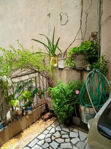 Balcony Image of Kawal PG in Rajouri Garden, New Delhi