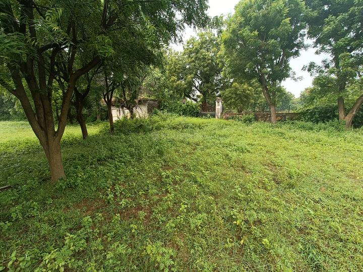 Asola 2 Fatehpur beri Main Image 1