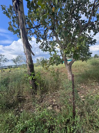 bhugaon manas lake Main Image 1