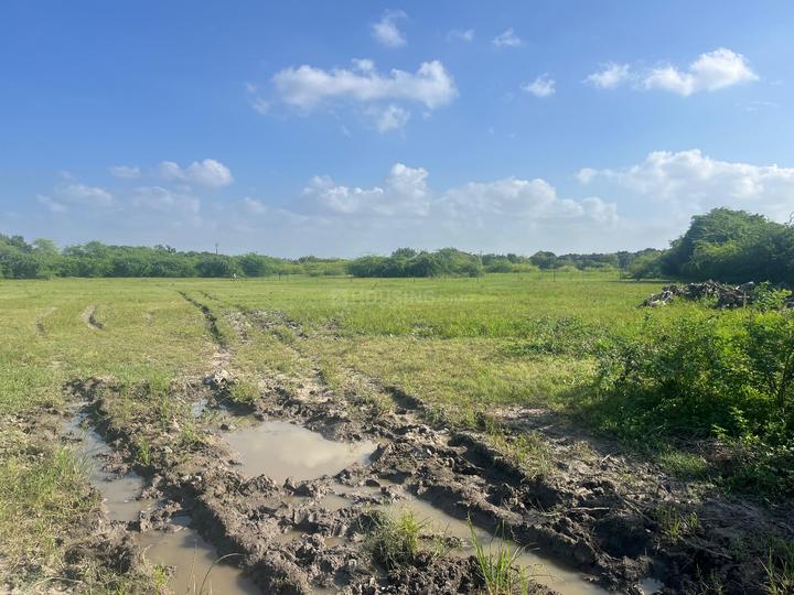 Chekhla Main Image 1