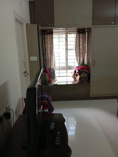 Gk Festoon Main Image 1